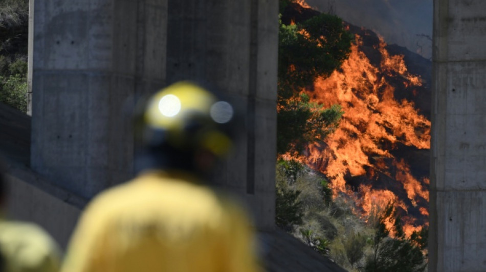  Foreigners among 12 dead in Spanish wildfire, 23 missing 