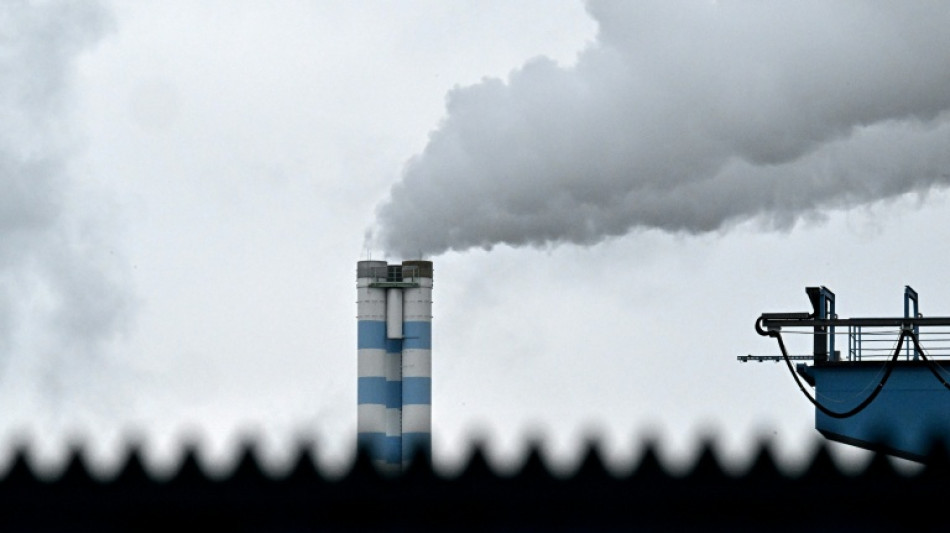 Los mayores contaminantes dejan una factura astron&oacute;mica, seg&uacute;n un estudio