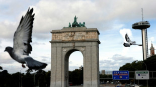 Spanish NGO says govt flouting own Franco memory law