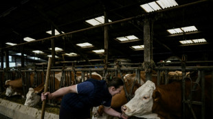 Sur la route des europ&eacute;ennes - A Meuvy, "la col&egrave;re agricole toujours l&agrave;"