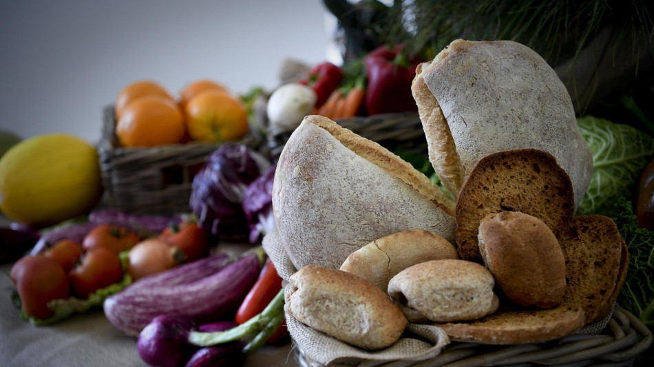 Ismea, borsino 2025 dei campioni della Dieta Mediterranea, dai cerali all'olio Evo