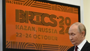 Sommet des Brics: appels &agrave; l'arr&ecirc;t des combats en Ukraine et au Proche-Orient
