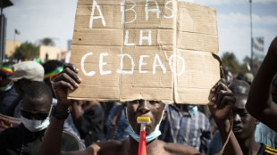 La Cedeao desea hallar una "soluci&oacute;n negociada" tras la retirada de Burkina Faso, Mal&iacute; y N&iacute;ger