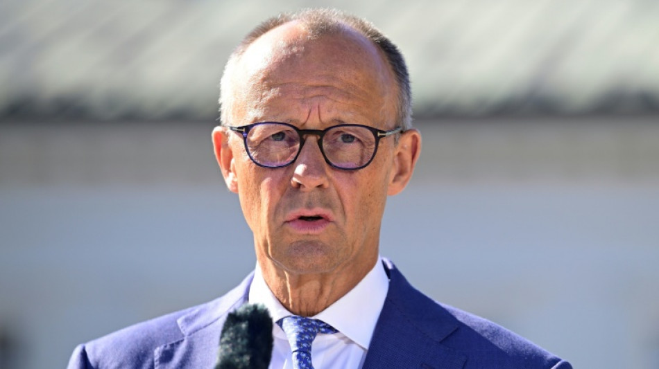 Allemagne : face aux critiques, Merz r&eacute;affirme vouloir lutter contre le changement climatique