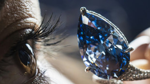 Diamante azul vivo é vendido por mais de US$ 25 milhões em Genebra