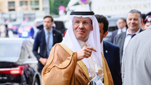 Accordo all'Opec+, tagli alla produzione estesi fino a marzo