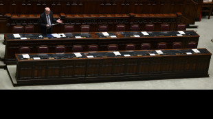 Pichetto, 'per le bollette il 2025 sar&agrave; ancora molto duro'