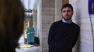 L'aereo con Di Battista atterrato a Ciampino