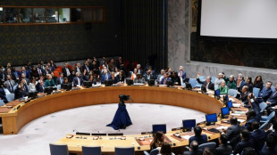 El Consejo de Seguridad de la ONU rechaza con el veto de EEUU una resoluci&oacute;n de condena al conflicto Israel-Ham&aacute;s