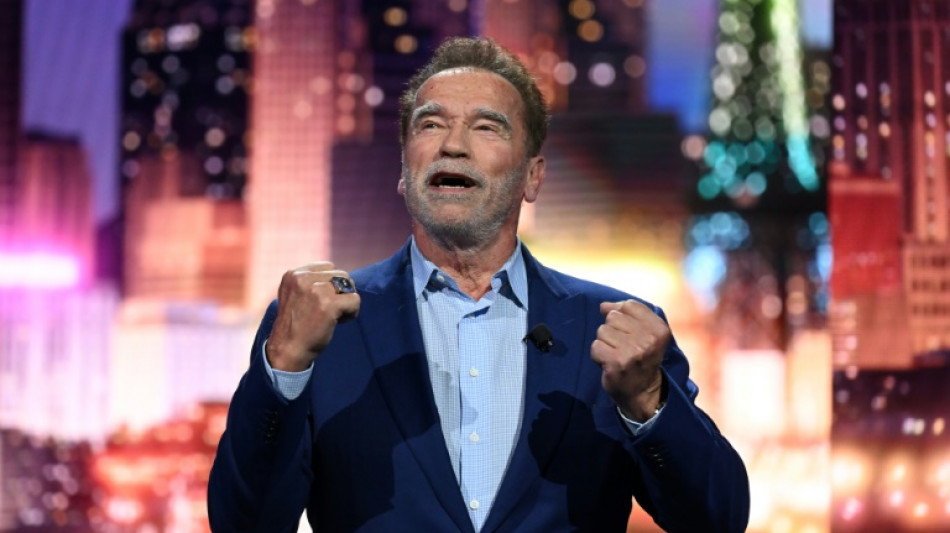 Schwarzenegger, retenido en el aeropuerto de M&uacute;nich por omitir declarar un reloj