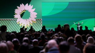Grüne setzen Parteitag mit Wahl des neuen Bundesvorstands fort