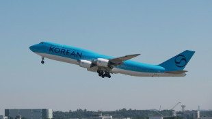 La Cor&eacute;e du Sud envoie un avion pour rapatrier ses ressortissants arr&ecirc;t&eacute;s aux Etats-Unis