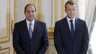 Macron sente Sisi, 'garantire subito il trasporto marittimo nel Mar Rosso'