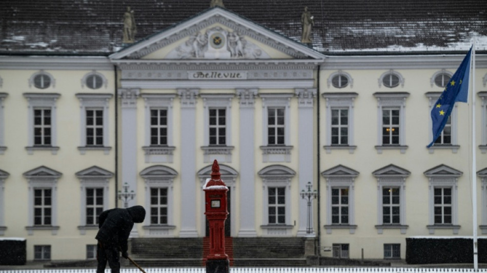 Bundespr&auml;sident: SPD und Gr&uuml;ne offen f&uuml;r Nicht-Politiker - Wahltermin steht offenbar