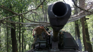 Ukraine's long battle for Bakhmut takes toll on German gun