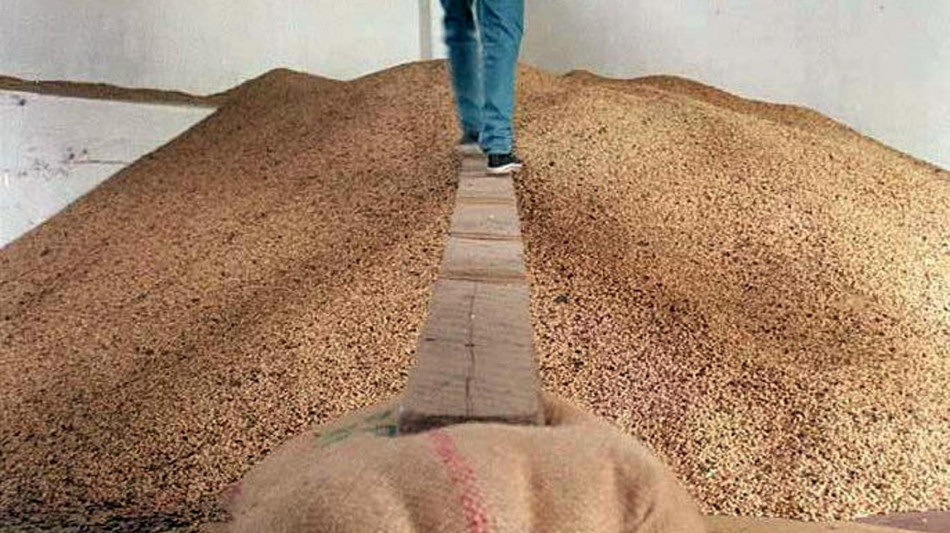 Il caff&egrave; conferma prezzi ai massimi storici, siccit&agrave; in Brasile