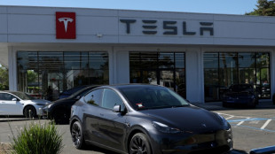 L'action du groupe Tesla d'Elon Musk, soutien de Trump, bondit de 13% dans les &eacute;changes d'avant-s&eacute;ance
