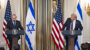 Netanyahu, 'con Trump disaccordi tattici ma li appianiamo sempre'