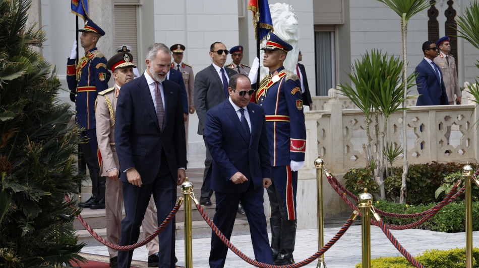 Sisi concede la grazia all'attivista Alaa Abdel-Fattah