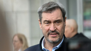CSU-Chef S&ouml;der zu Stromsteuer: Senkung f&uuml;r Privatleute soll 2027 kommen