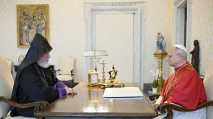 Il Papa, 'molto preoccupato per il Libano e Medio Oriente'