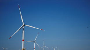 Avant la COP29, la France planifie sa sortie des &eacute;nergies fossiles pour atteindre la neutralit&eacute; carbone en 2050