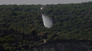 Incendies en Espagne: des milliers de personnes ont regagn&eacute; leur domicile pr&egrave;s de Madrid