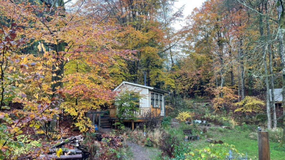 Sweden sees silent forests as sanctuaries from a noisy world