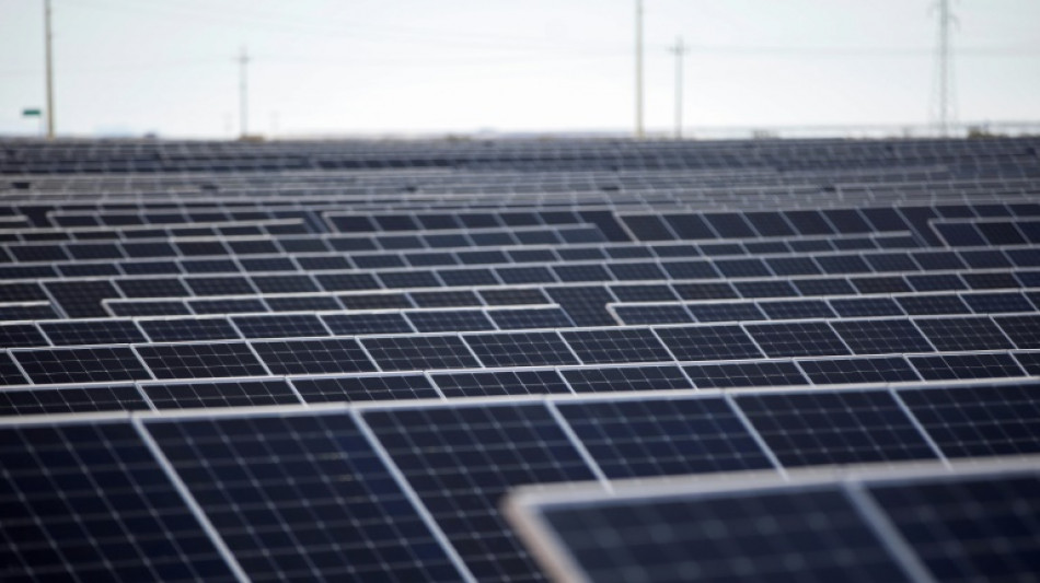 M&eacute;xico espera que Tesla anuncie pronto decisi&oacute;n de invertir en el pa&iacute;s, dice canciller 