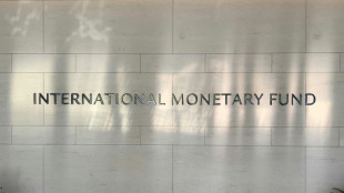 El FMI abre la v&iacute;a para desembolsar a Argentina de USD 7.500 millones