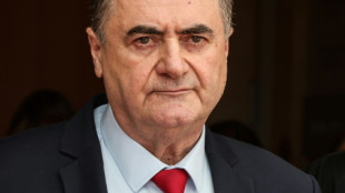 Israels Verteidigungsminister Katz legt Amtseid ab