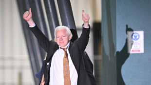 Julian Assange attendu mardi &agrave; Strasbourg pour s'adresser au Conseil de l'Europe