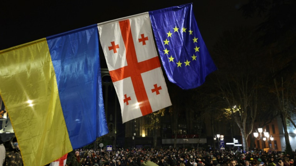 G&eacute;orgie : le gouvernement exclut de nouvelles l&eacute;gislatives malgr&eacute; la crise politique