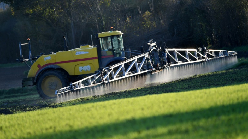 Pesticides: l'agence sanitaire alerte sur des effets néfastes pour la santé des jeunes enfants