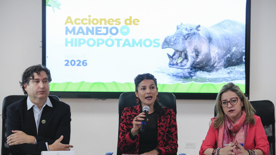  Colombia, stop all'abbattimento degli ippopotami di Pablo Escobar 