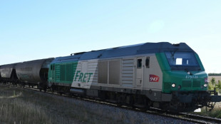 Fret SNCF va disparaitre malgr&eacute; la col&egrave;re des syndicats