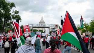 Des milliers de manifestants anti-Netanyahu &agrave; Washington, des arrestations