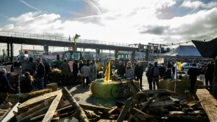 Retiran los &uacute;ltimos bloqueos de carreteras mantenidos por los agricultores en Francia