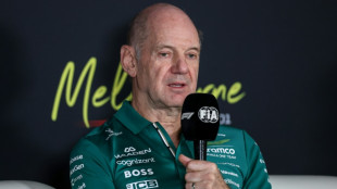 Aston Martin chief Newey says no quick fix to vibration problems