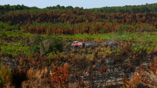 Incendies: situation stable dans le Var et en Gironde, les pompiers poursuivent leurs efforts
