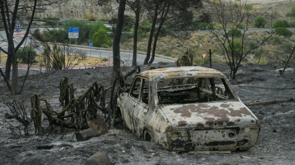  Five Britons among foreign Spanish wildfire victims 