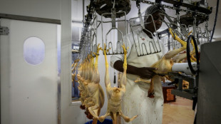 La tasa de desempleo de la zona euro se mantiene estable en septiembre