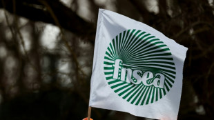 Agriculteurs: la FNSEA maintient la pression, &eacute;voque une relance de la mobilisation