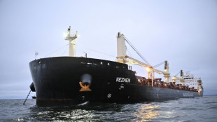 C&acirc;ble endommag&eacute; en mer Baltique: un navire bulgare saisi