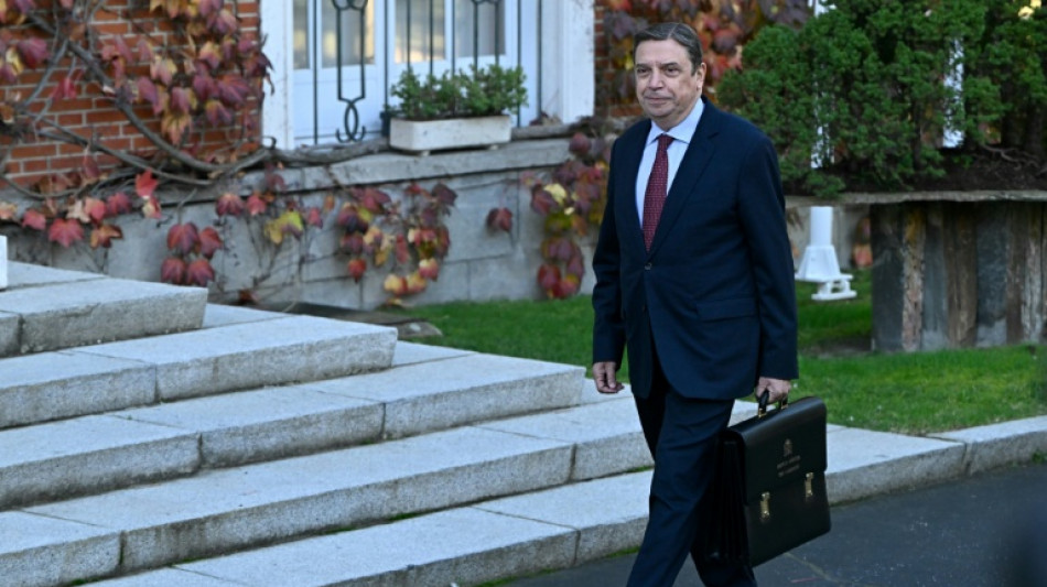 Confirman siete nuevos casos de peste porcina africana cerca de Barcelona