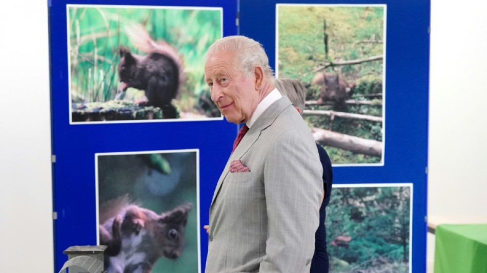  King Charles visits grey squirrel contraceptive project 