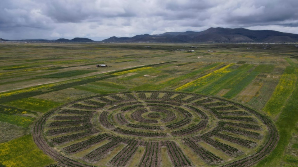 Waru Waru, una técnica agrícola andina del pasado contra la crisis climática
