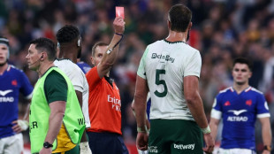 Fourteen-man South Africa fight back to beat France