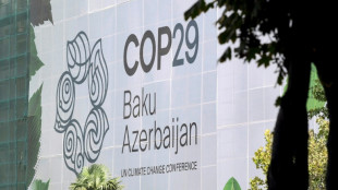 La pr&eacute;sidence de la COP29 tente de calmer le jeu avec la France