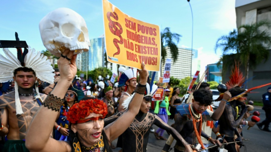  Indigenous groups demand greater land protection in Brazil protest 